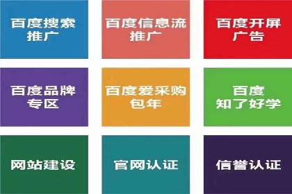 某行业巨头如何利用百度推广服务费提升业绩